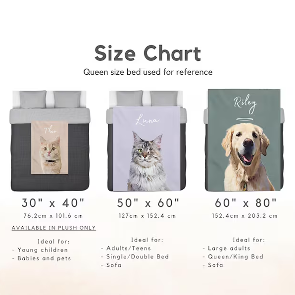 Blanket Watercolor Pet Portrait