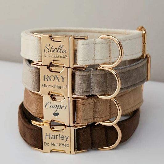 Custom Velvet Pet Collar
