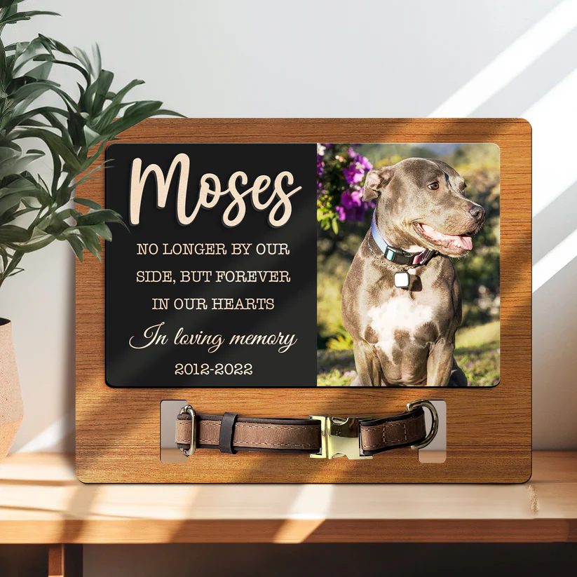Custom Pet Memorial Collar Frame