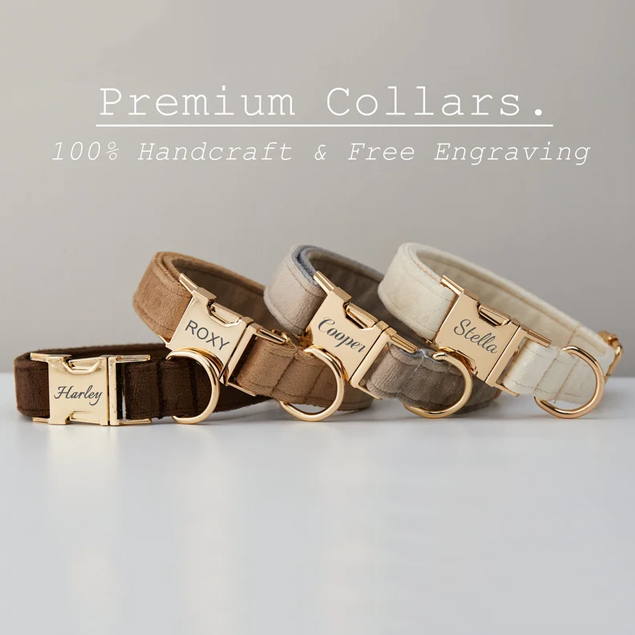 Custom Velvet Pet Collar