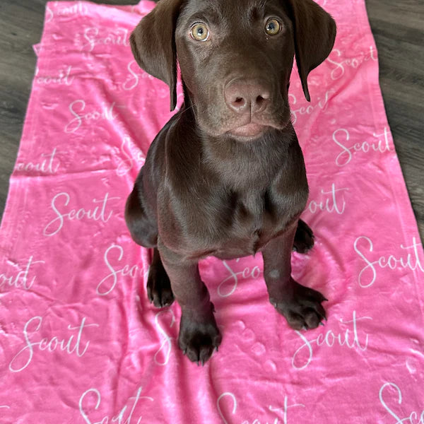 Personalized Blanket for Dog