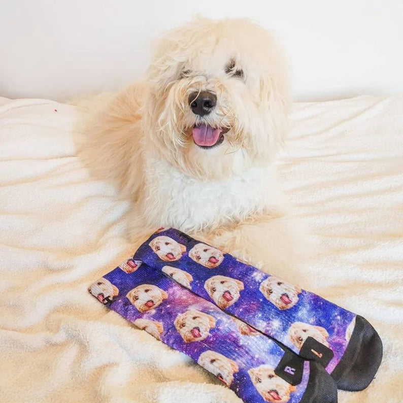 Custom Pet Printed Photo Socks