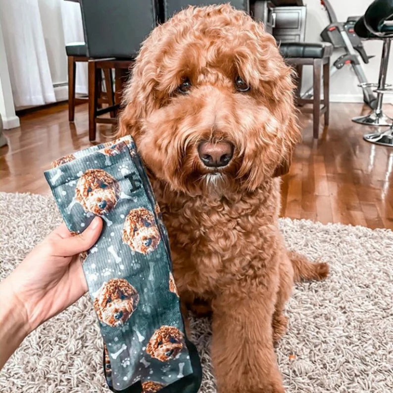 Custom Pet Printed Photo Socks