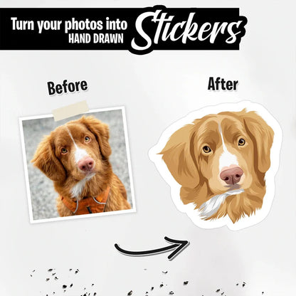 Hand Drawn Pet Portrait Stickers