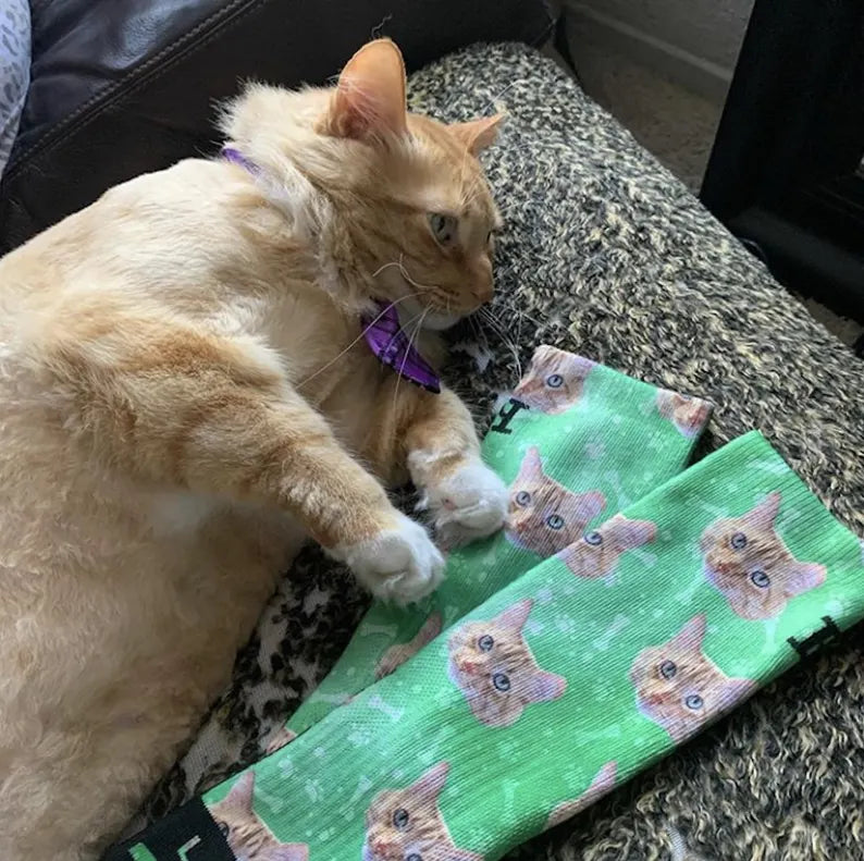 Custom Pet Printed Photo Socks