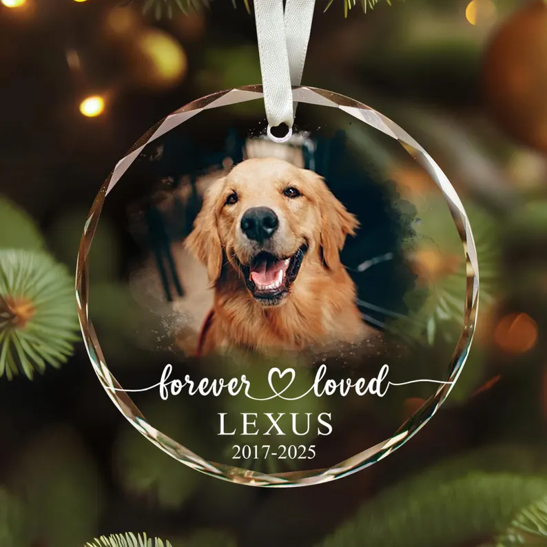 Custom Pet Memorial Photo Ornament Forever Loved