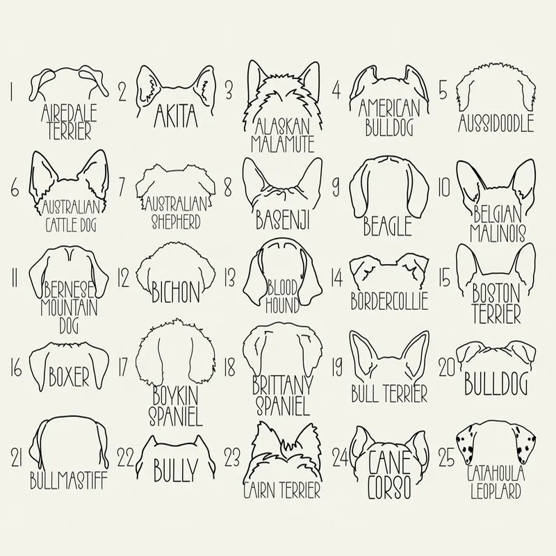 Custom Dog Ears Sweatshirt with Name